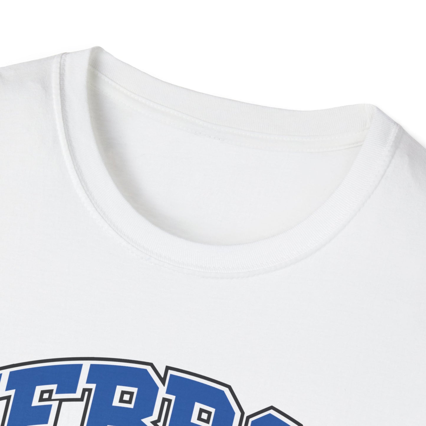 Hebron Hawks Vintage Unisex Softstyle T-Shirt, School Spirit Tee, Graduation Gift, Sports Event Apparel, College Nostalgia Wear